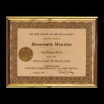 International Film Festival Awards